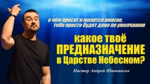 Какое твоё предназначение в Царстве Небесном？ Пастор Андрей Шаповалов.mp4