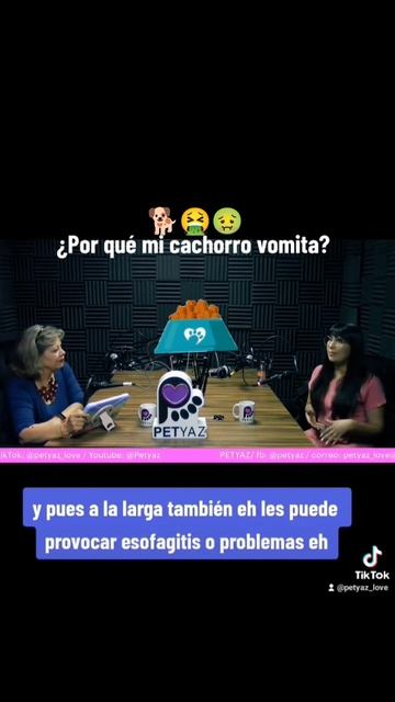 ¿Por qué mi cachorro vomita? смотреть онлайн