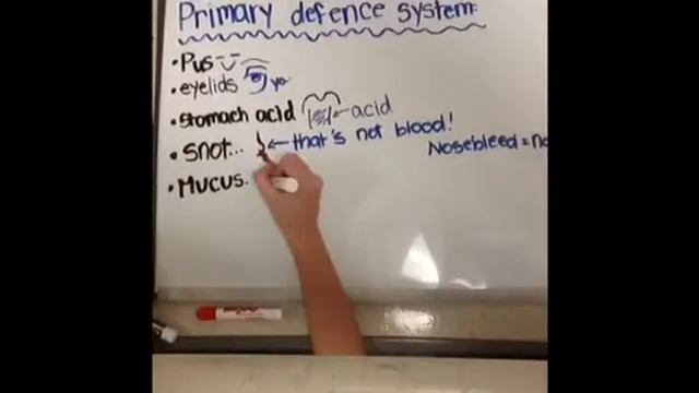 Science project: Immune System. ~Freya Ware and Macedes Ben смотреть онлайн