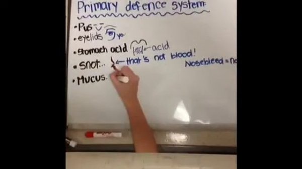 Science project: Immune System. ~Freya Ware and Macedes Ben