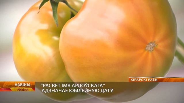 Кировский «Рассвет имени К.П.Орловского» отмечает юбилейную дату — 80 лет со дня основания смотреть онлайн