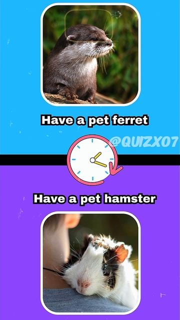 have a pet ferret or hamster? 🌟 Would You Rather смотреть онлайн