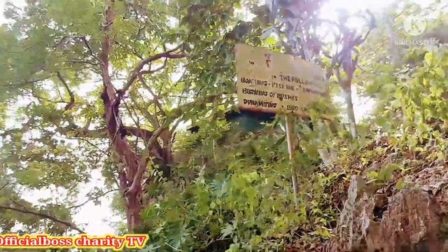 Amazing #Adventure at alligator hole on the border of Clarendon and Manchester in Jamaica смотреть онлайн