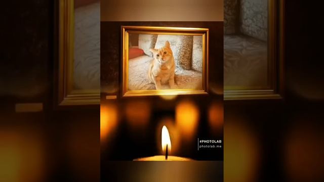 Ты ушёл по радуге... смотреть онлайн