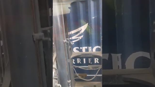 El camarada José Leiva con Celular en la mano por eso pasan los accidentes смотреть онлайн