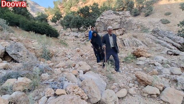 Old man's conflict😱😱 with his young child's wife смотреть онлайн