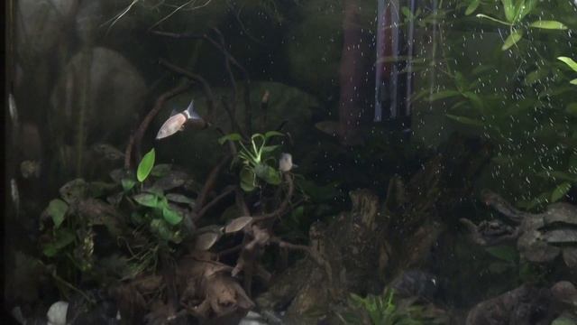 Боции 20110313224434.m2ts смотреть онлайн