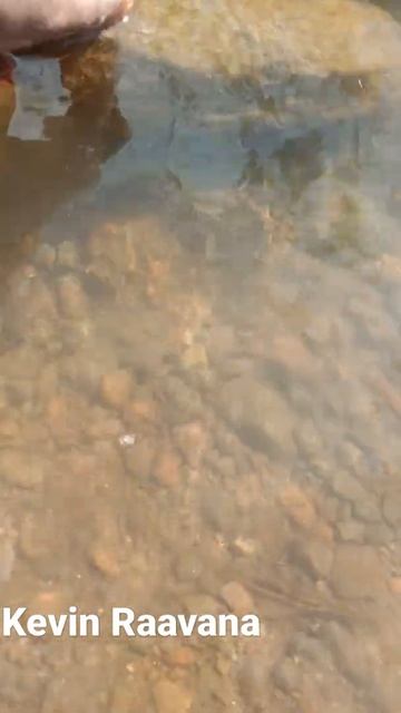 fishing small river stone fish смотреть онлайн