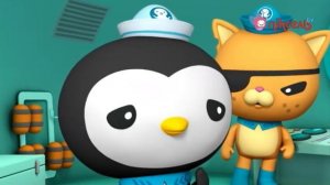 S03E10 Октонавти і качкодзьоби