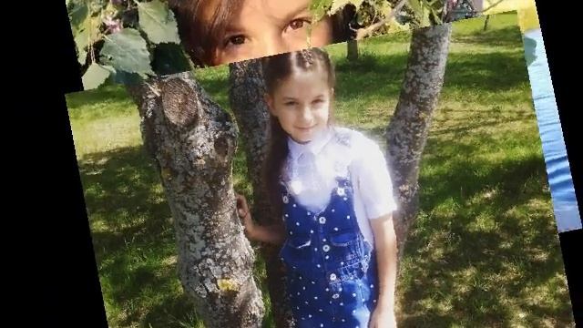 Дана бич альбатрос (1) смотреть онлайн