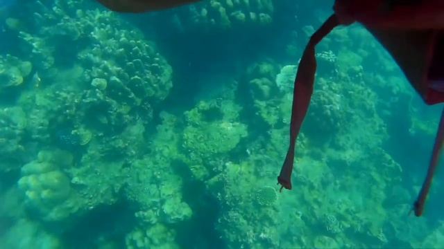 Snorkeling in Krabi, Thailand | Non-Swimmers | First Time | Krabi Sunset Cruises | SJCam sj4000 смотреть онлайн