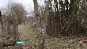 ПОПАЛИ В ЗАКУЛИСЬЕ | *НА НАС НАПАЛА СОБАКА?* | FanWeek |