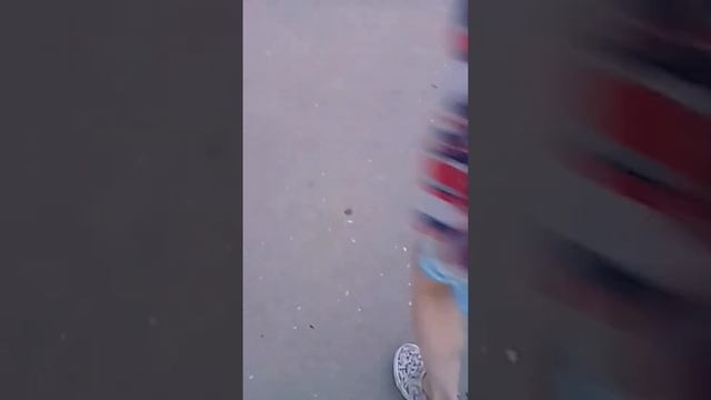 Червяк 🤣 смотреть онлайн