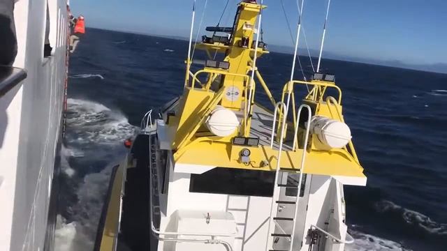 Bar pilot going aboard E/V Nautilus смотреть онлайн