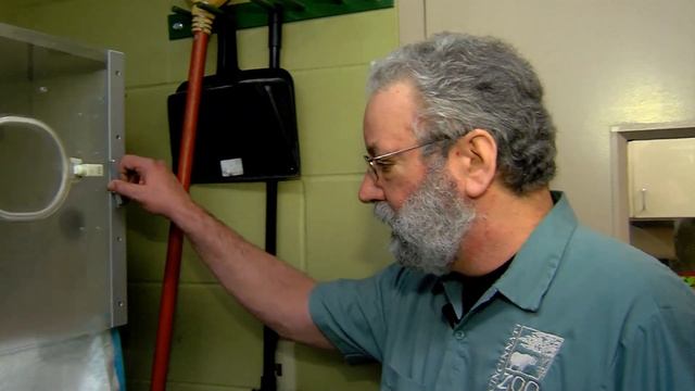 4 New Kea Chicks - Cincinnati Zoo смотреть онлайн