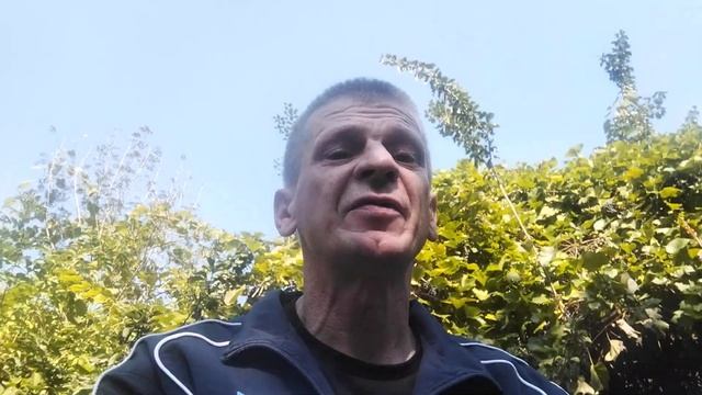 Muszę z stod wrecicie wprowadzić sie смотреть онлайн