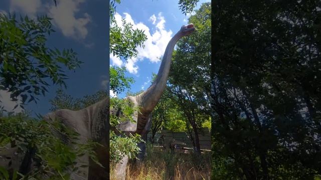 "Затерянный мир". Геленджик смотреть онлайн