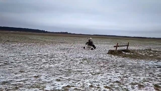 Первый выезд трайк + Moster185 смотреть онлайн