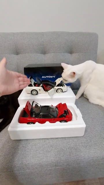 Долгожданная Обнова спустя Год и 12 дней ожиданий. #autoart #Honda #NSX смотреть онлайн