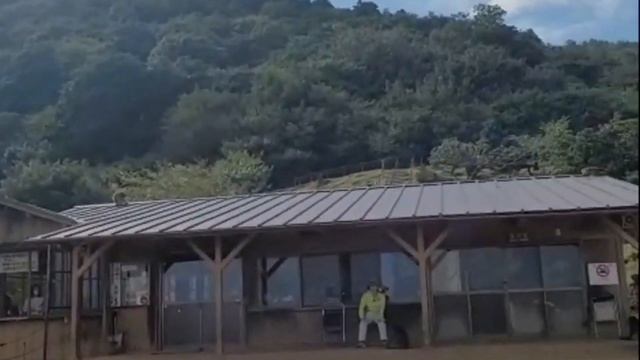 где-то в Японии 🗾 парк обезьян 🐵🐒 смотреть онлайн