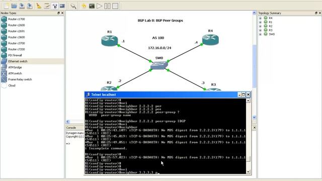 Cisco Border Gateway Protocol BGP Lab 8 (Peer Groups)