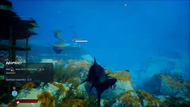 The Expert Guide to Shark Week смотреть онлайн