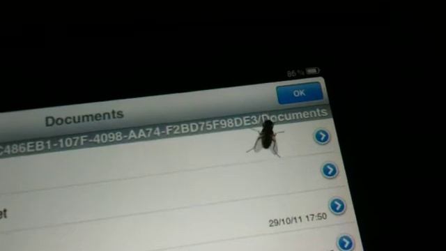 Mouche VS IPad ! смотреть онлайн