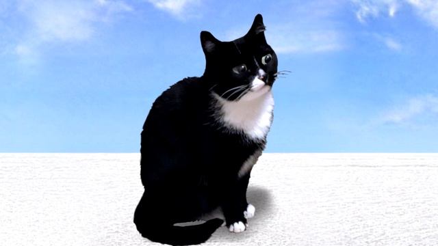 ЗАМЕЧАТЕЛЬНОЕ ОБЪЯВЛЕНИЕ смотреть онлайн