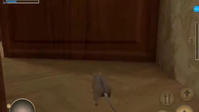 Симулятор мыши.Нашли домик! смотреть онлайн