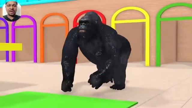 Long Slide Game With Elephant Gorilla Buffalo Hippopotamus Tiger - 3d Animal Game - Funny 3d Animal смотреть онлайн