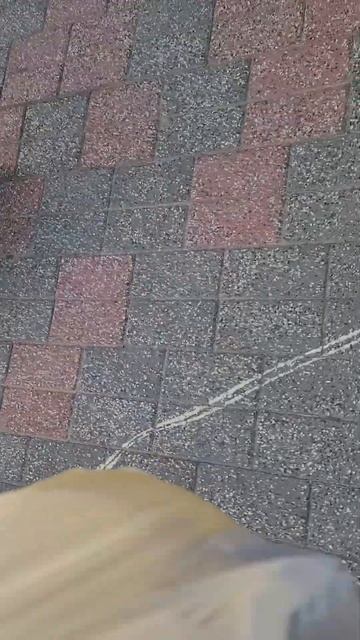 내강아지 смотреть онлайн