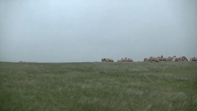 ROMANIA 2020 | TRIP TRANSALPINA (PART6) смотреть онлайн