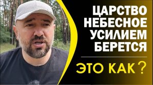 _Царство Небесное усилием берется_ - это как понимать и реализовывать_
