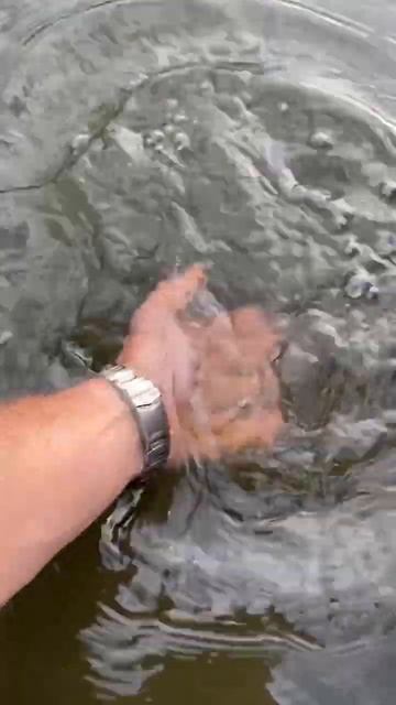 Ловись Рыбка Маленькая и Большая. Когда Рыбалка от Души и В Удовольствие. #like #подписка смотреть онлайн