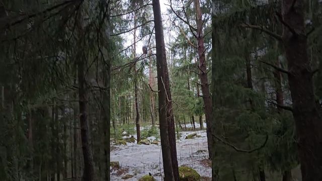 24.03.2024 (1) смотреть онлайн