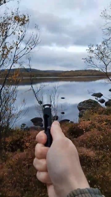 Сигнал охотника 🤠 #пугач #защита #осень2023 #сигналы #снаряжениедляпоходов #испытание #shorts смотреть онлайн