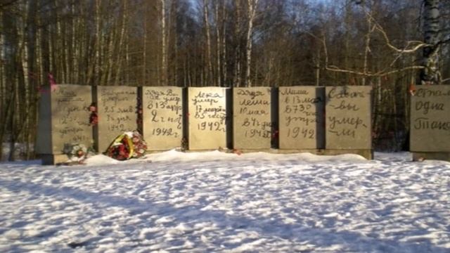 Блокада Ленинграда Дугнинская модельная библиотека библиотекари Чижова Н.Н., Ларина Г.Г. смотреть онлайн