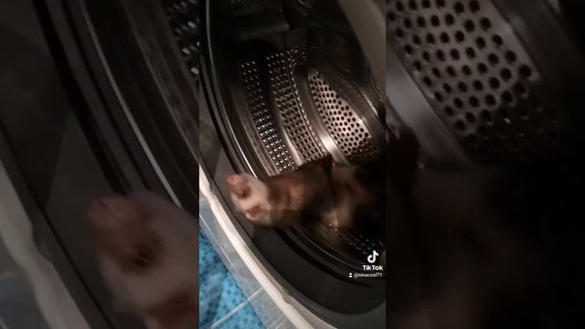 Сонькины постирушки смотреть онлайн