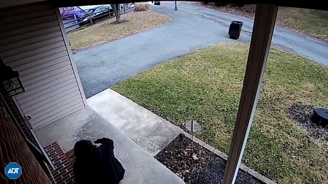 🤣🤣🤣 Caught on security camera: My wife fell walking out of the house!! (No audio) смотреть онлайн