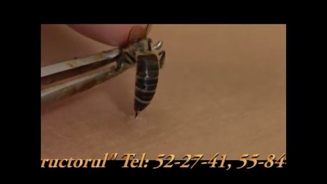 Sanatoriul "Constructorul" смотреть онлайн