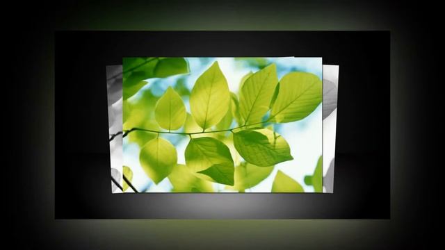 POYADA BARGLARNING JOYLASHISHI | ПОЙAДA БAРГЛAРНИНГ ЖОЙЛAШИШИ. смотреть онлайн
