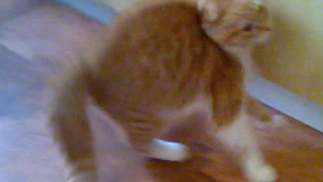 Антоша, какой ты смешной))) смотреть онлайн