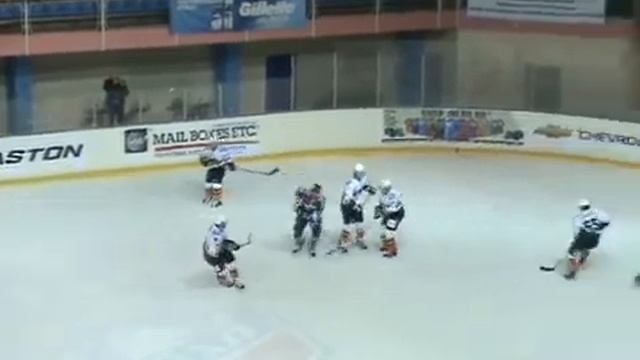 МХЛ. Татранские Волки - Серебряные Львы - 4:8. смотреть онлайн