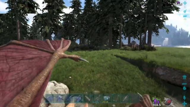 Ark fjördur || Struggling to tame Desmodus Draculae смотреть онлайн