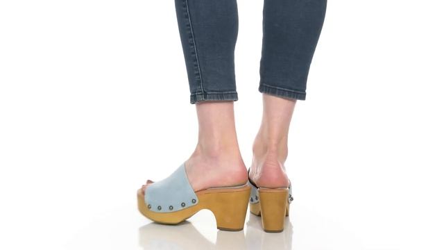 Dingo Beechwood SKU: 9902921 смотреть онлайн