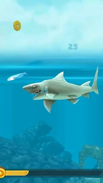 hungry shark 🐬🐬 status video#YouTube #shorts #video #status #viral смотреть онлайн