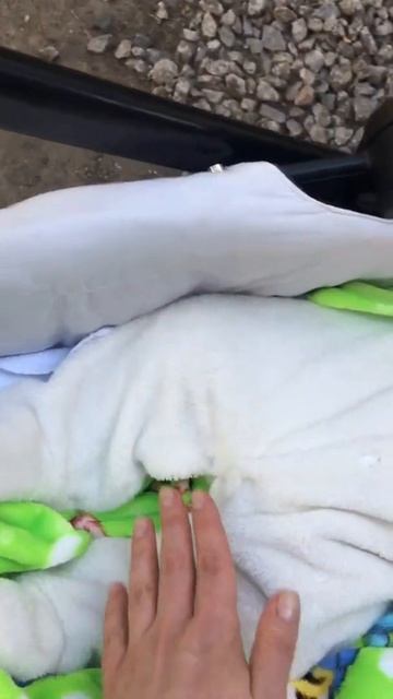 пришли с Косуликом кормить бездомных котиков смотреть онлайн