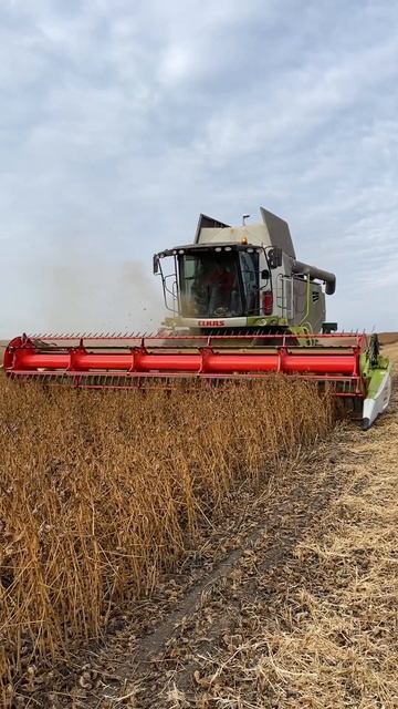 Как мы сою убирали смотреть онлайн