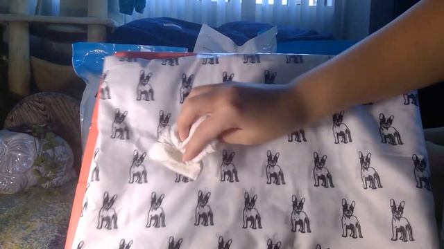 Boxiepet Stain and Odor remover demonstration смотреть онлайн