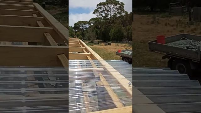 dirty dali lama starts roof. смотреть онлайн
